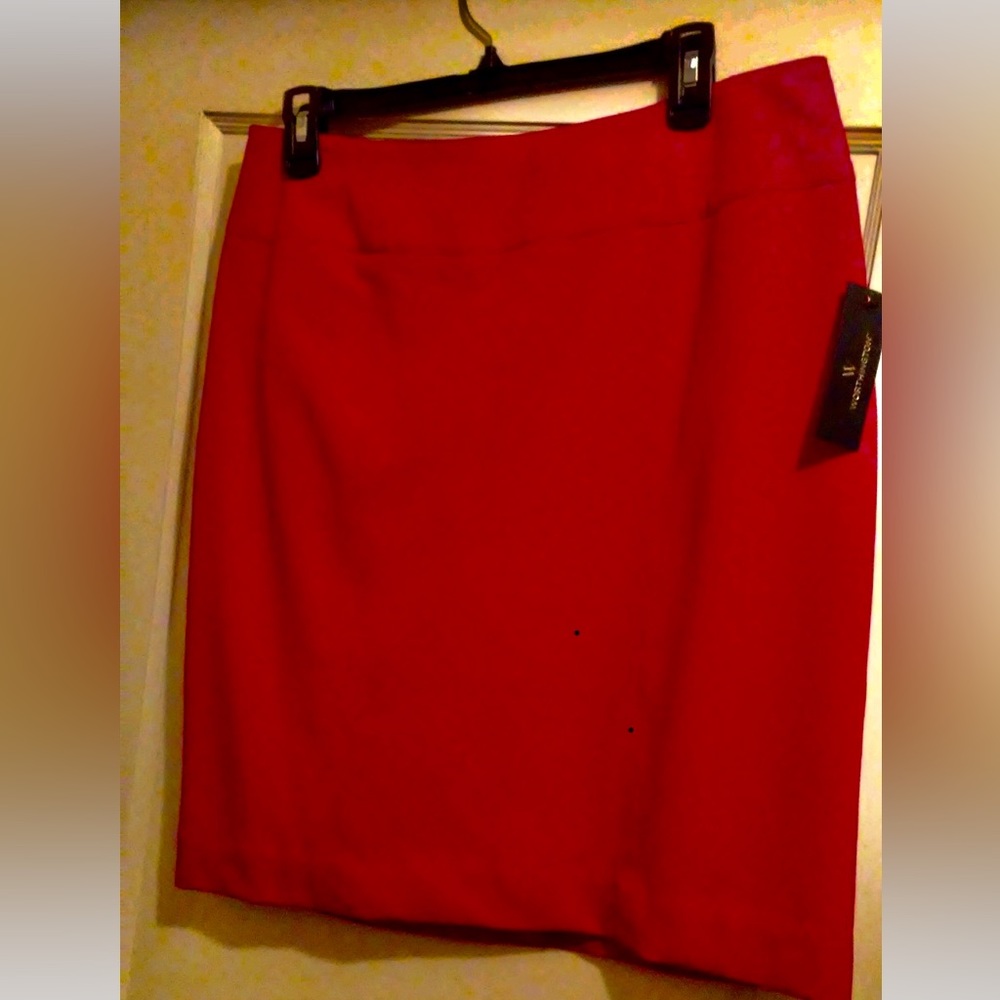 Red Lined skirt